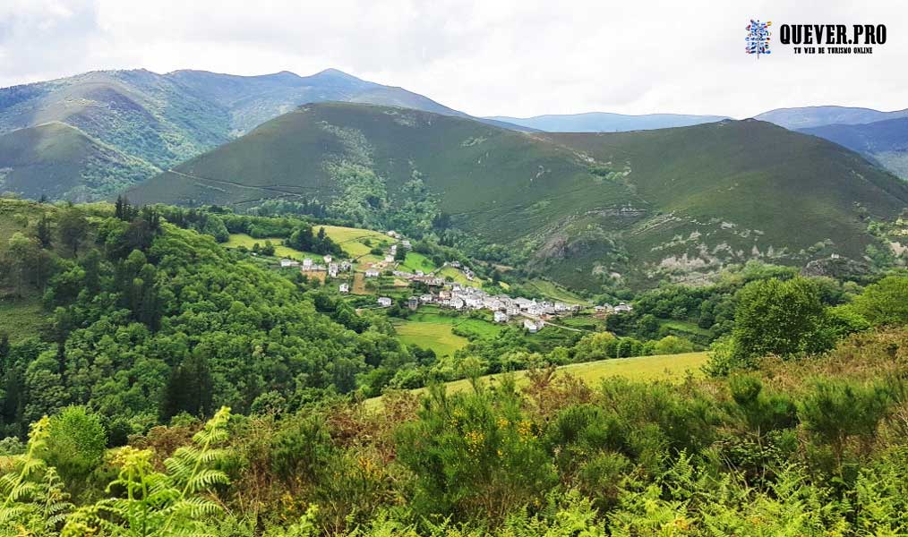 Bisuyu en Cangas del Narcea