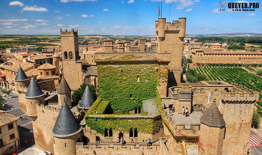 Castillo de Olite Navarra