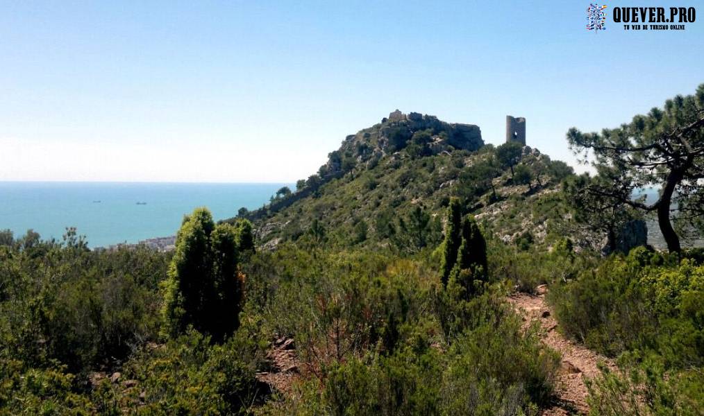 Desierto de las Palmas