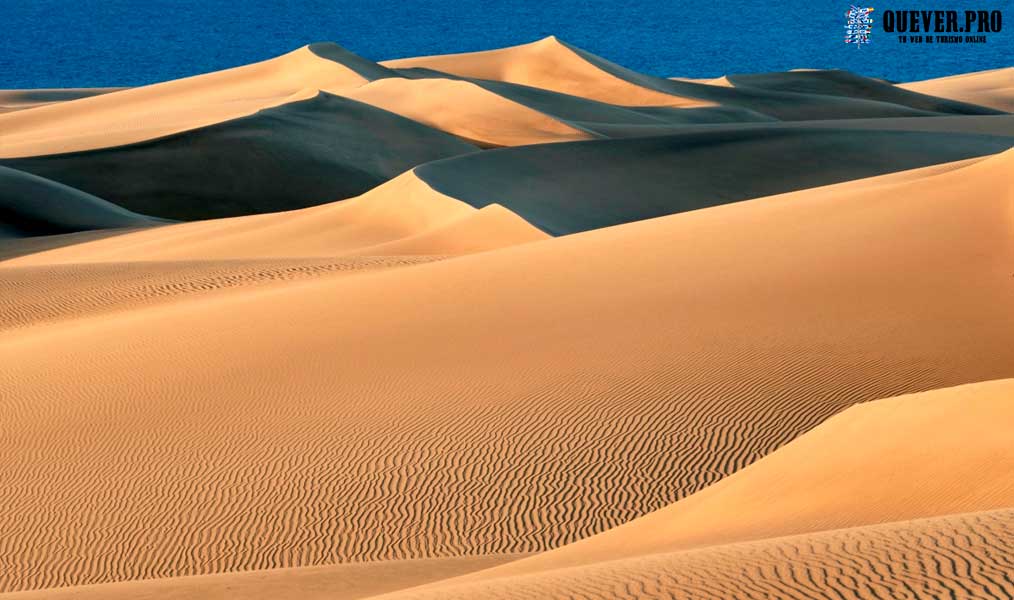 Dunas de Maspalomas Canarias