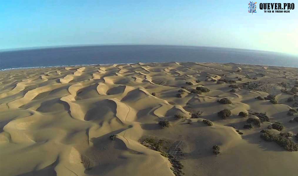 Dunas de Maspalomas Gran canaria