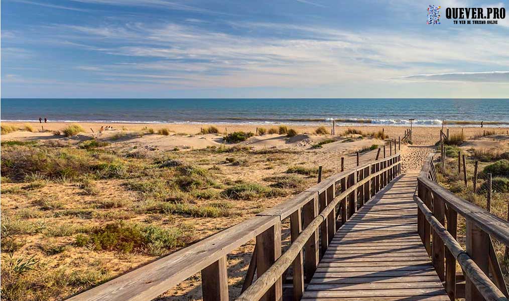 Enebrales de Punta Umbría en Punta Umbría 