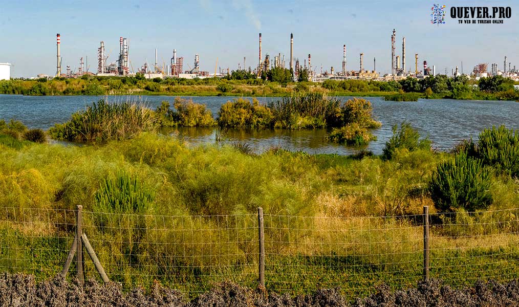 Laguna de Palos y Las Madres en Palos de la Frontera