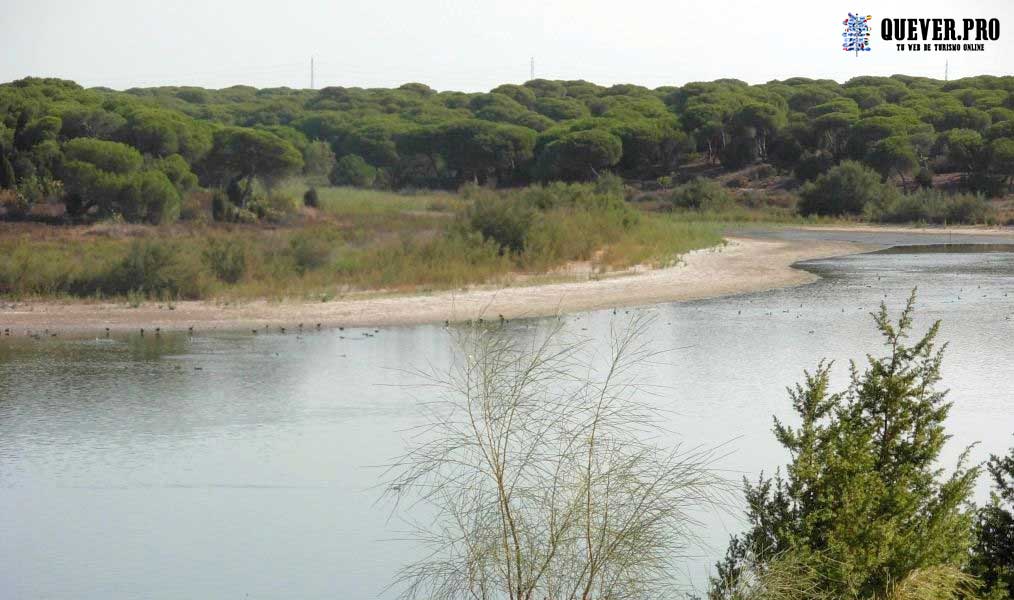 Laguna del Portil en Punta Umbría 