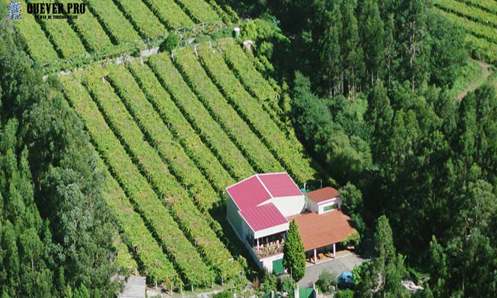 Maior de Mendoza SL en vilagarcía arousa