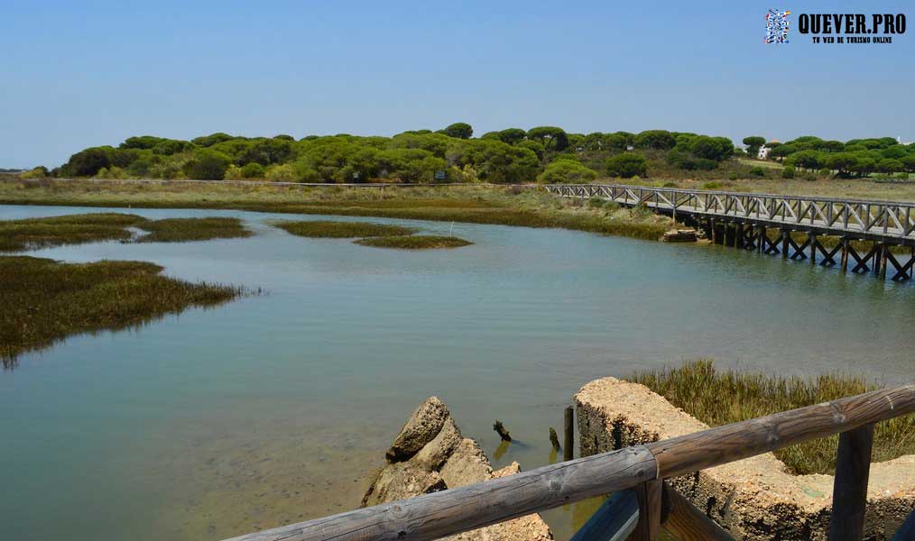 Marismas del Río Piedras Y Flechas del Rompido en Islantilla