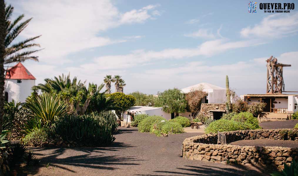 Museo Agrícola el Patio Lanzarote