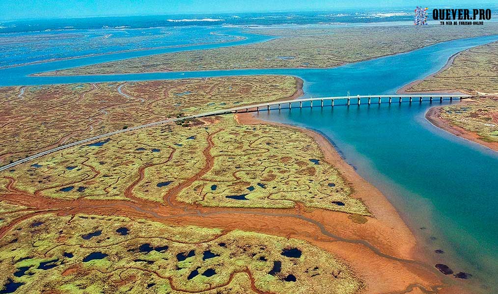 Paraje Natural Marismas del Odiel en Punta Umbría 