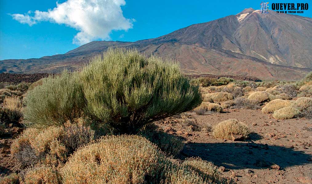 Parque Nacional del Teide Canarias