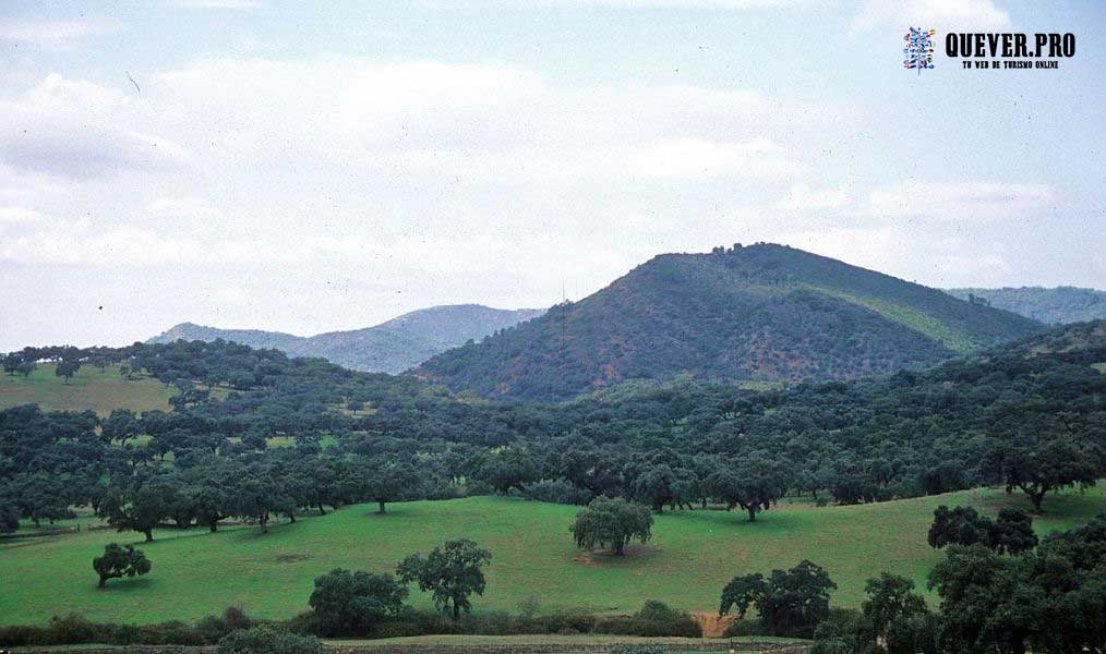 Parque Natural de la Sierra de Aracena y Picos de Aroche en Aracena