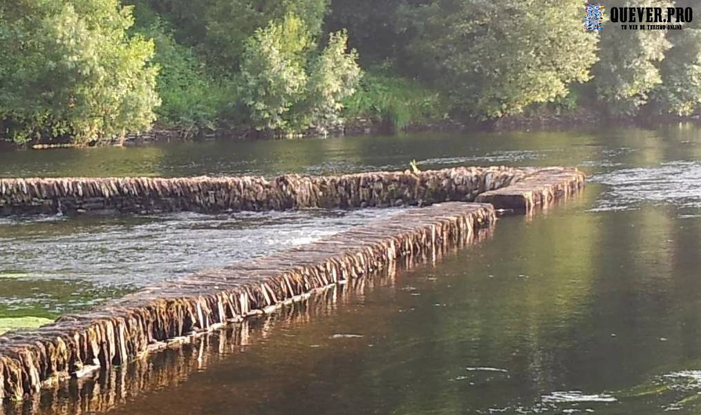 Paseo fluvial al lado del Miño