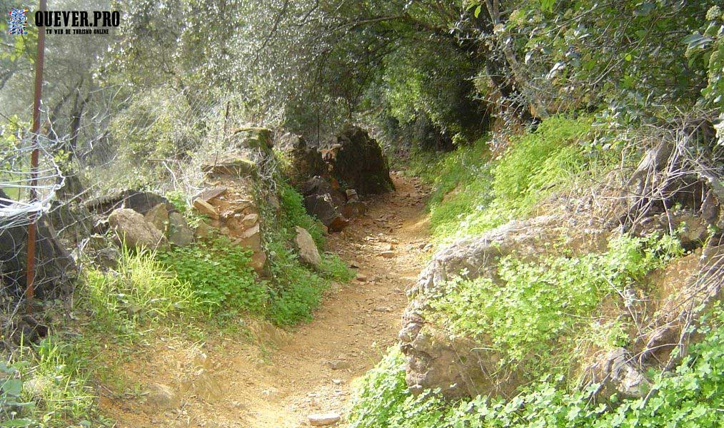 Senderos de Aracena, Linares de la Sierra